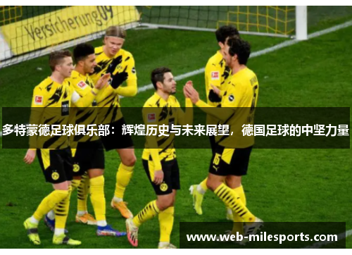 多特蒙德足球俱乐部：辉煌历史与未来展望，德国足球的中坚力量