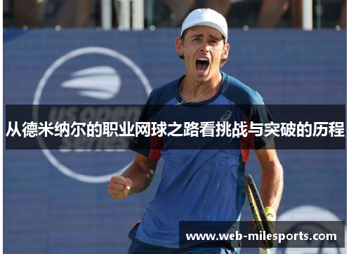 从德米纳尔的职业网球之路看挑战与突破的历程