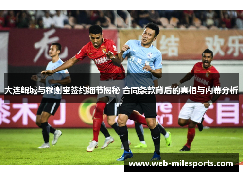 大连鲲城与穆谢奎签约细节揭秘 合同条款背后的真相与内幕分析