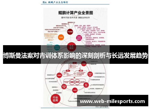 博斯曼法案对青训体系影响的深刻剖析与长远发展趋势